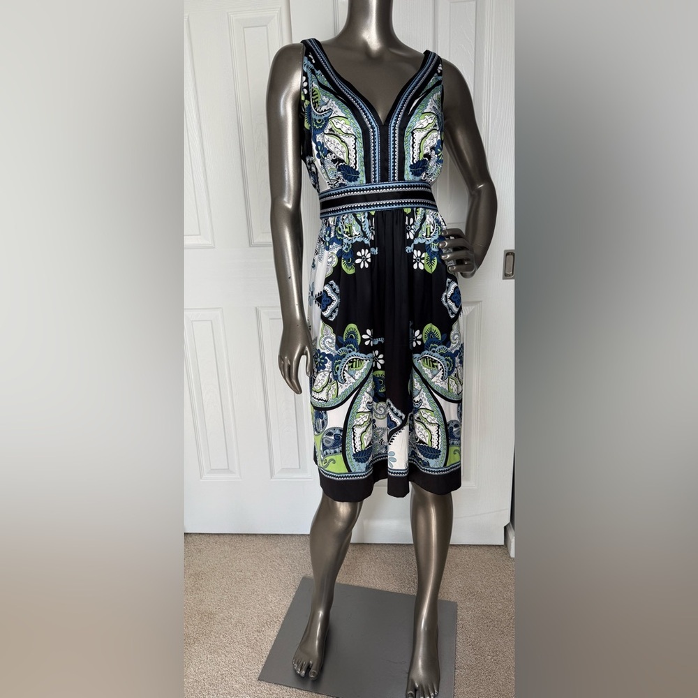 Ice Floral and Paisley V Neck Sleeveless‎ Belted Black Dress 14